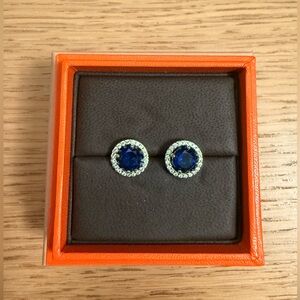 Swarovski crystal Elegant Blue and Silver Stud Earrings with Halo Design